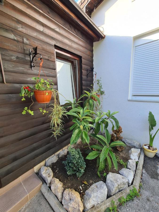 Apartment Simun *